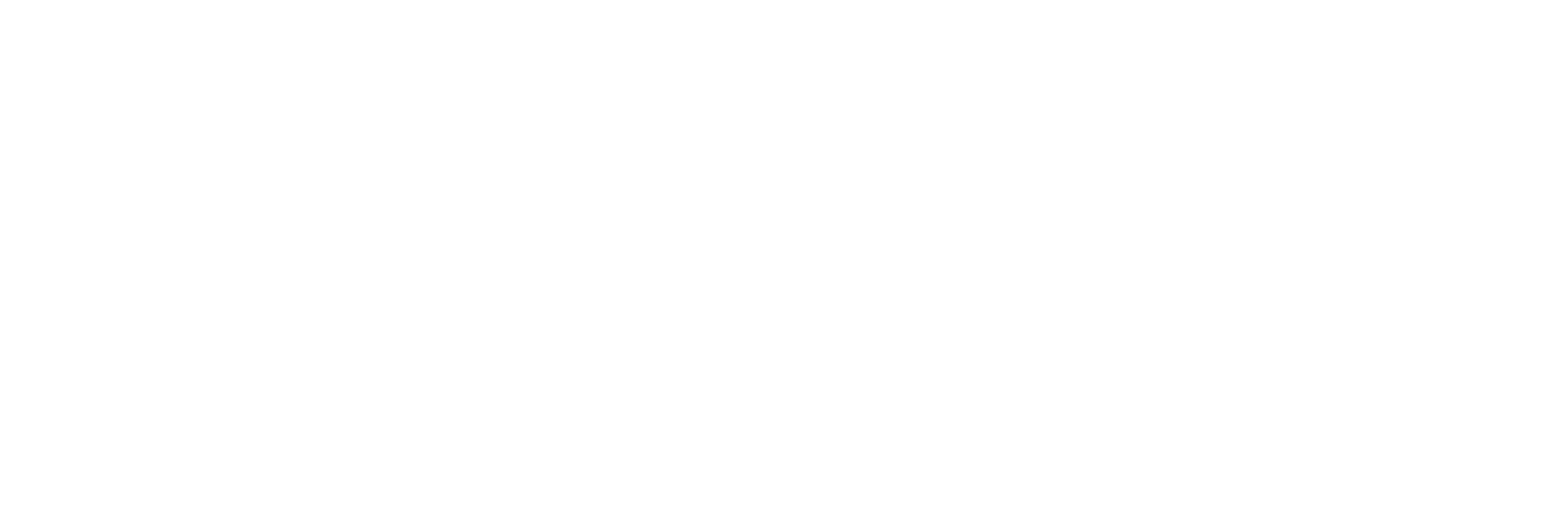 Chapin Custom Molding logo