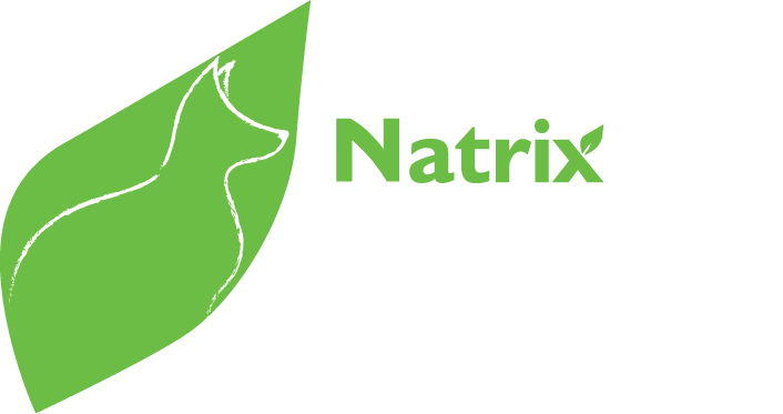 NatrixOne logo