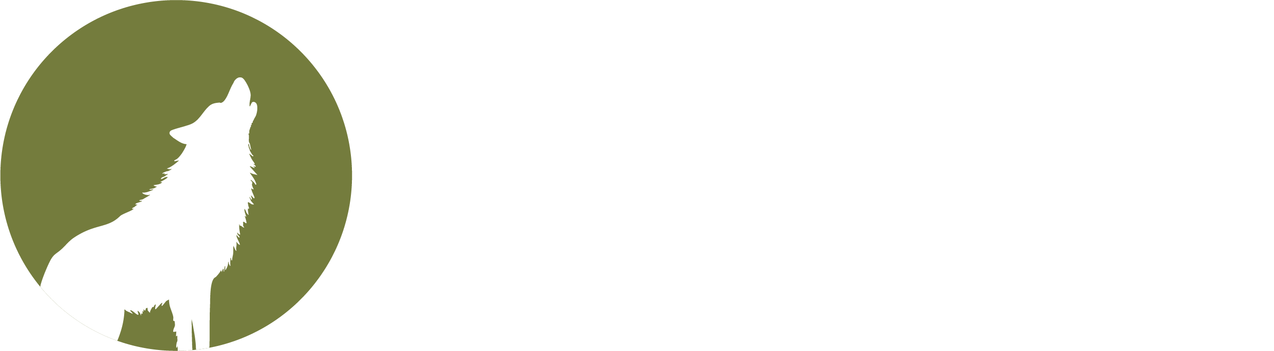 Wolfpack Workshop logo