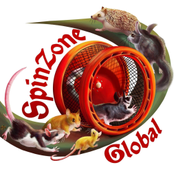 SpinZone Global logo