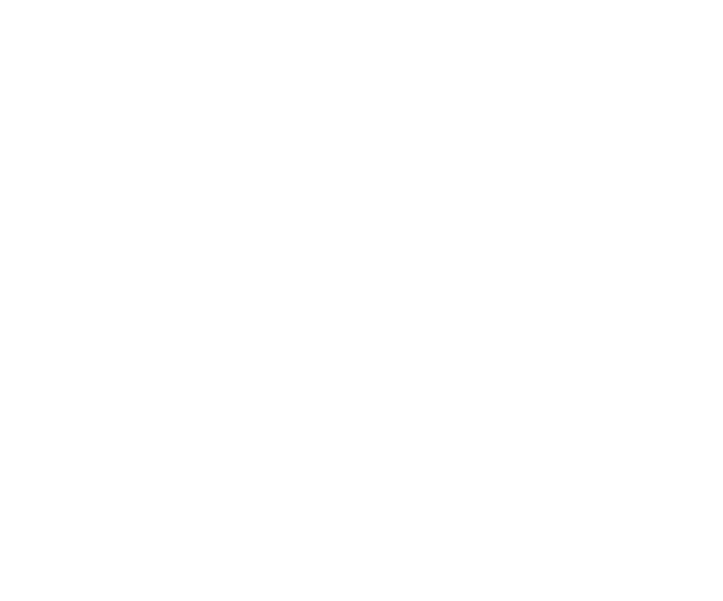 LRP Matting logo
