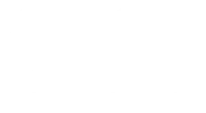 National Flight Services, Inc logo
