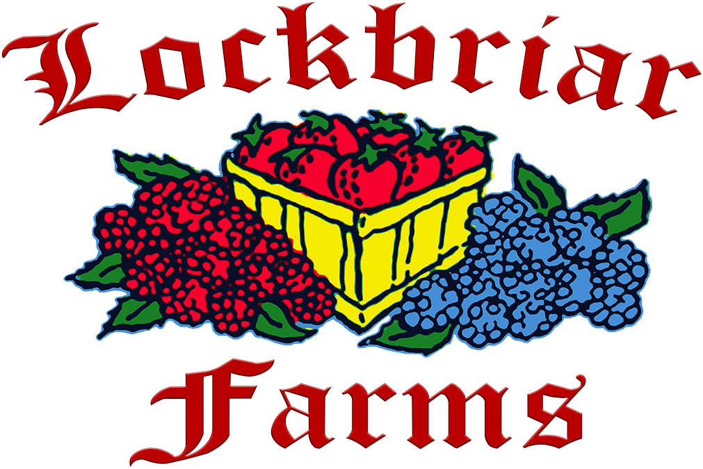 Lockbriar Farms logo