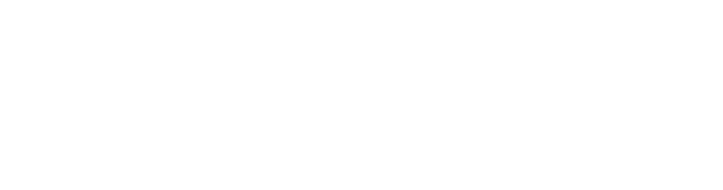 FlexScreen logo