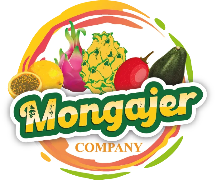 Group Mongajer logo