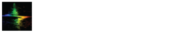 DST logo