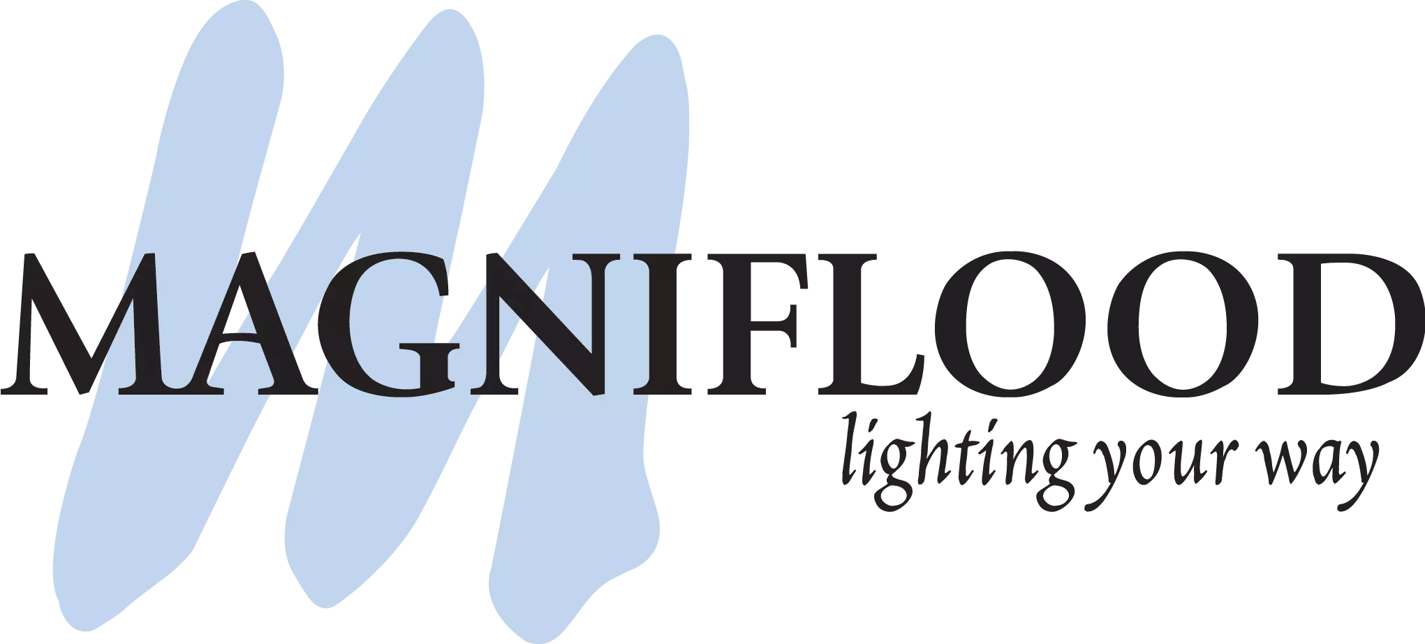 MagniFlood logo
