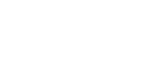 IDV logo