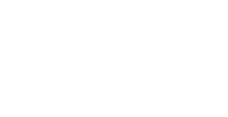 Nachurs Alpine Solutions logo