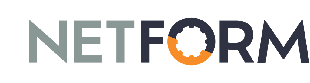 NETFORM logo