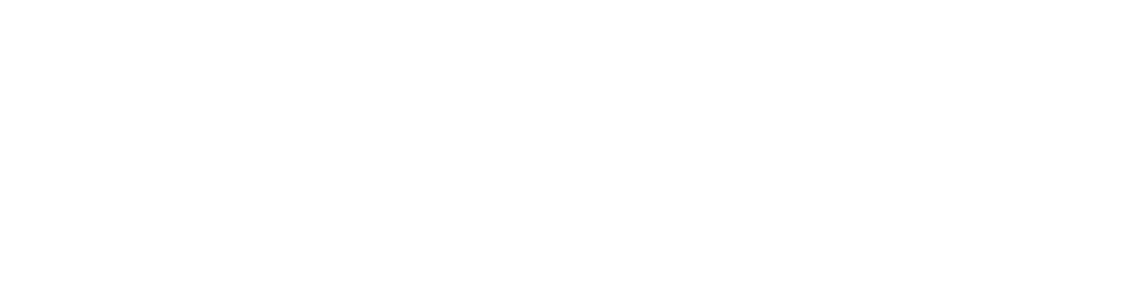 System 22, Inc logo