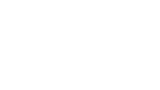 Broad Mountain Vineyard logo